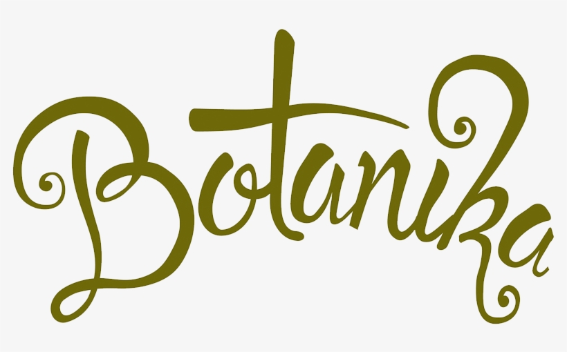 Logos - " - Calligraphy, transparent png #4822173