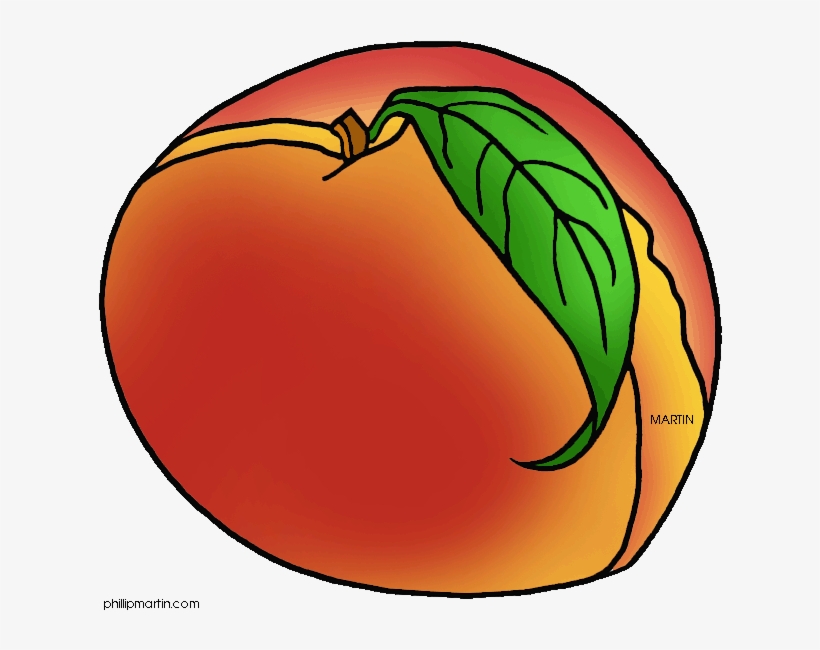 Peach Clip Art - Peach Transparent Clip Art, transparent png #4822344