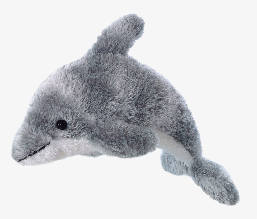 Dolphin - Plush Dolphin, transparent png #4823133
