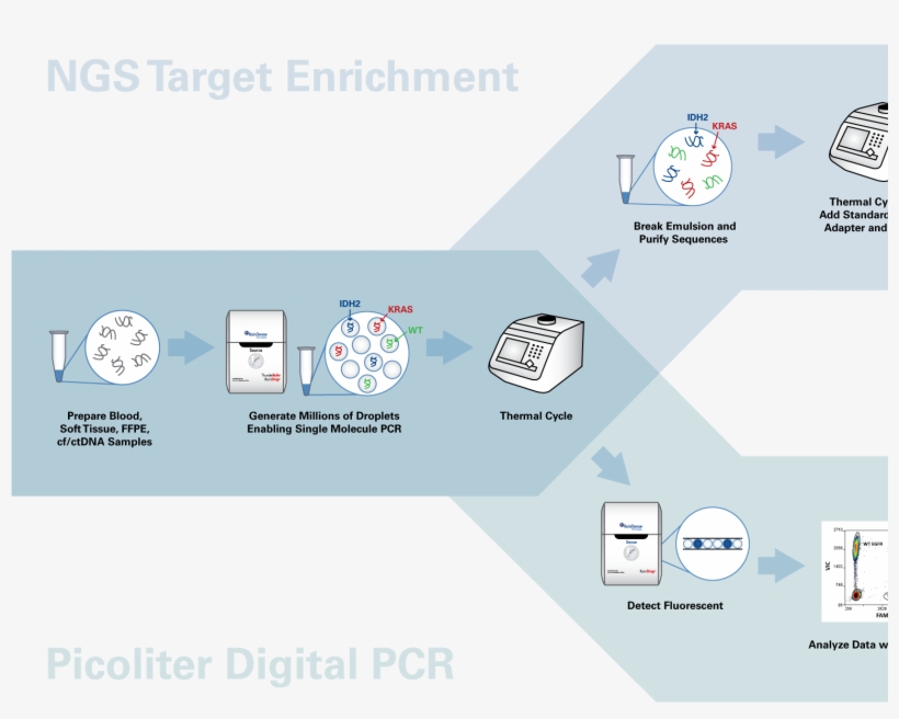 Raindrop System Infographic - Graphic Design, transparent png #4823282