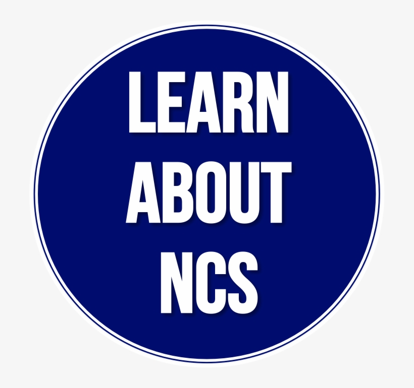 We Invite You To Explore Our Website To Learn More - Rabbit Banshee, transparent png #4824766