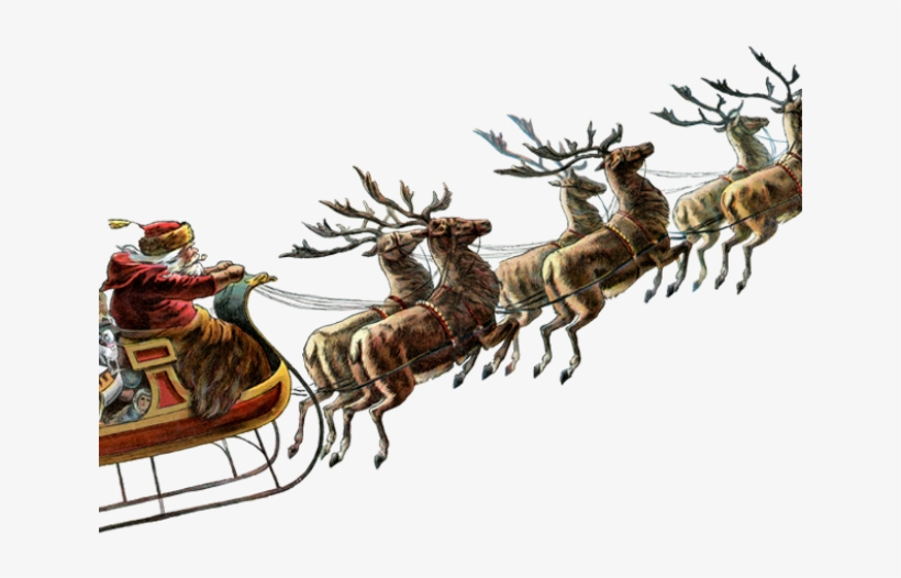 Reindeer Png Transparent Images - Santa Claus Sled Png, transparent png #4825718