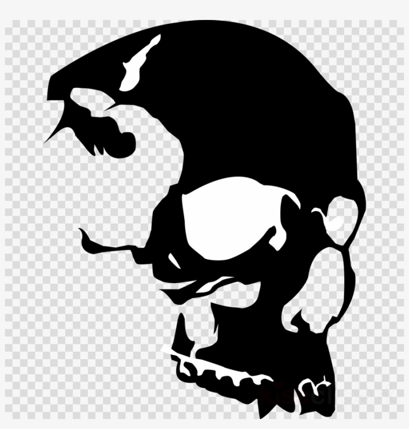 Download Vector Skull Clipart Skull Clip Art - Vinyl Record Skull Art, transparent png #4825803