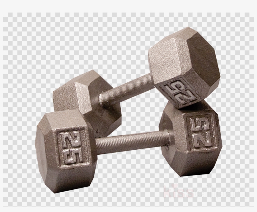 45 Dumbbell Clipart Dumbbell Barbell Weight Training - 55 Lb Rubber Hex Dumbbell, transparent png #4826059