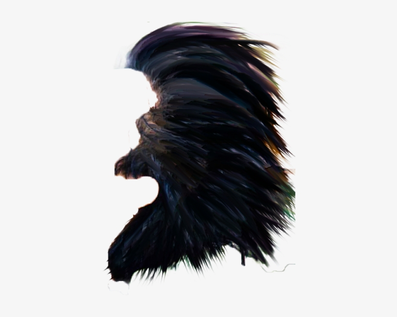 April 13, - Raven, transparent png #4826919