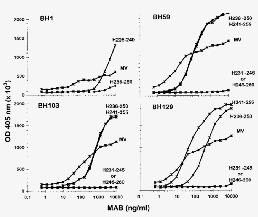 Titration Of Affinity Purified Mabs Bh1, Bh59, Bh103 - Diagram, transparent png #4826983