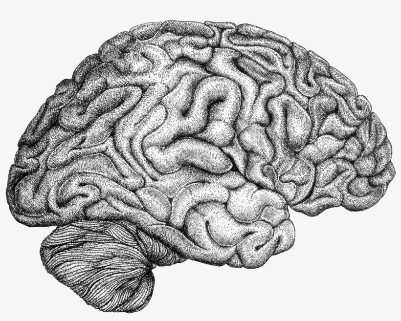 Info, - Illustration, transparent png #4826984