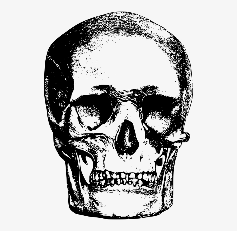 Skull Drawing Images 5, Buy Clip Art - Skull Twenty One Pilots Art, transparent png #4828259