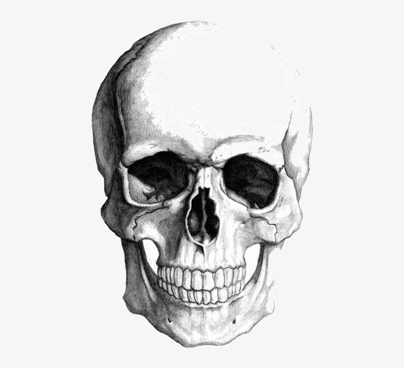 Pencils Drawing Skull - Skull Face Drawing, transparent png #4828310