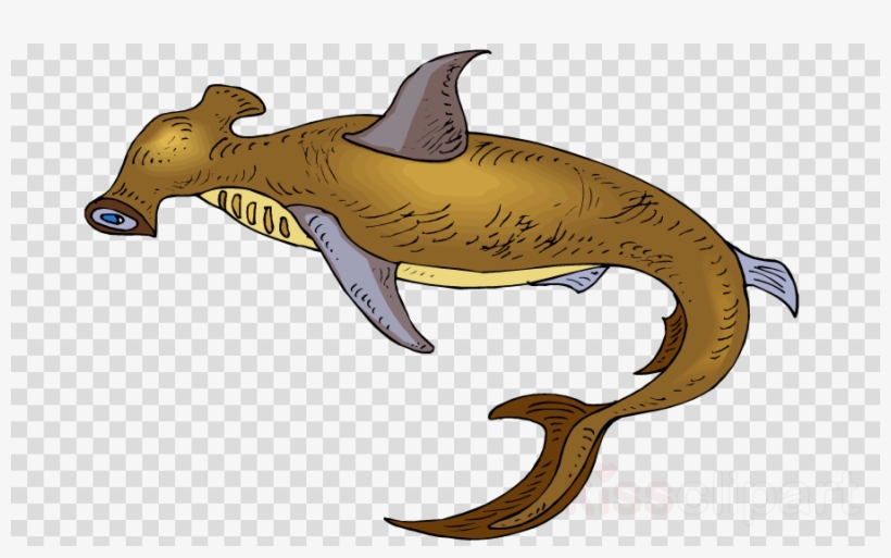 Download Shark Clipart Requiem Sharks Vertebrate Clip - Clip Art, transparent png #4829036