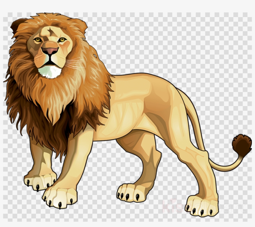 Vector Lion Clipart Lion Clip Art - Lion Picture With Name, transparent png #4829269