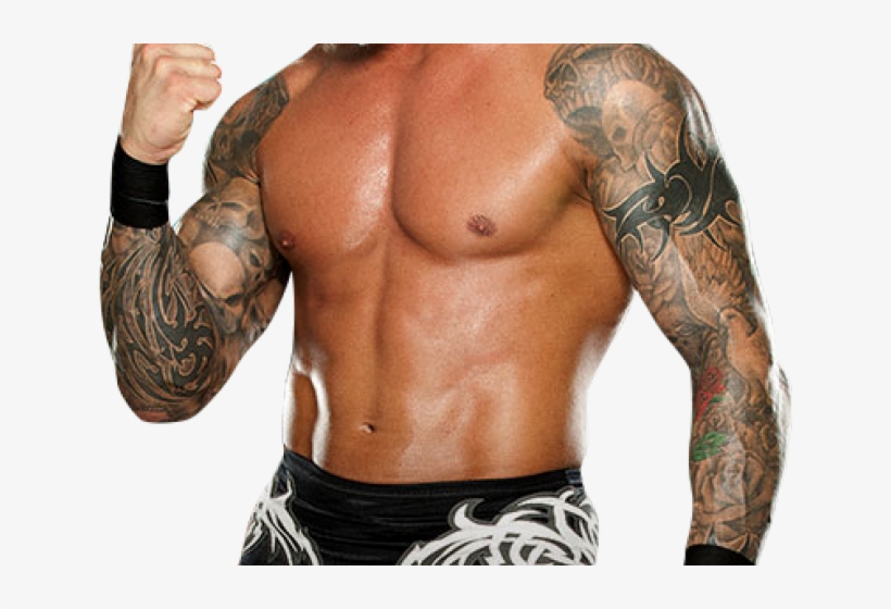 Ex Tna En Wwe, transparent png #4830437