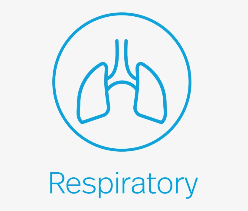 01 Asthma Text 02 Allergy Text 03 Copd 04 Respiratory - Lung, transparent png #4831184