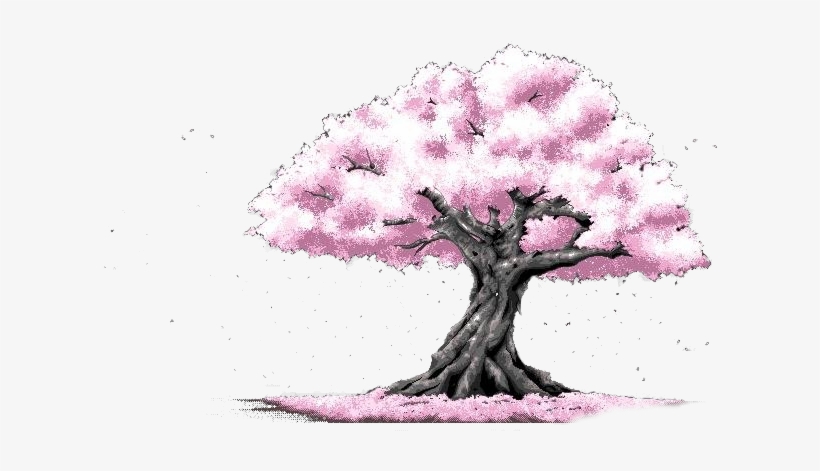 Cherry Blossom Cerasus Pink - 背景 素材, transparent png #4831252