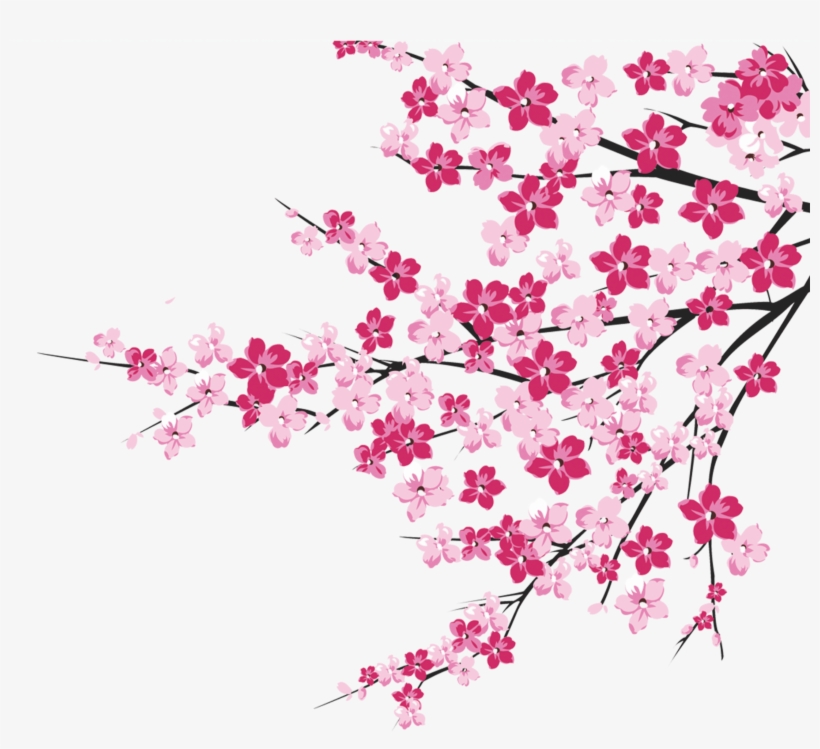 64 Cherry Blossom Tree Branch Cliparts For Your Inspiration - Cherry Blossom Pink Png, transparent png #4831418