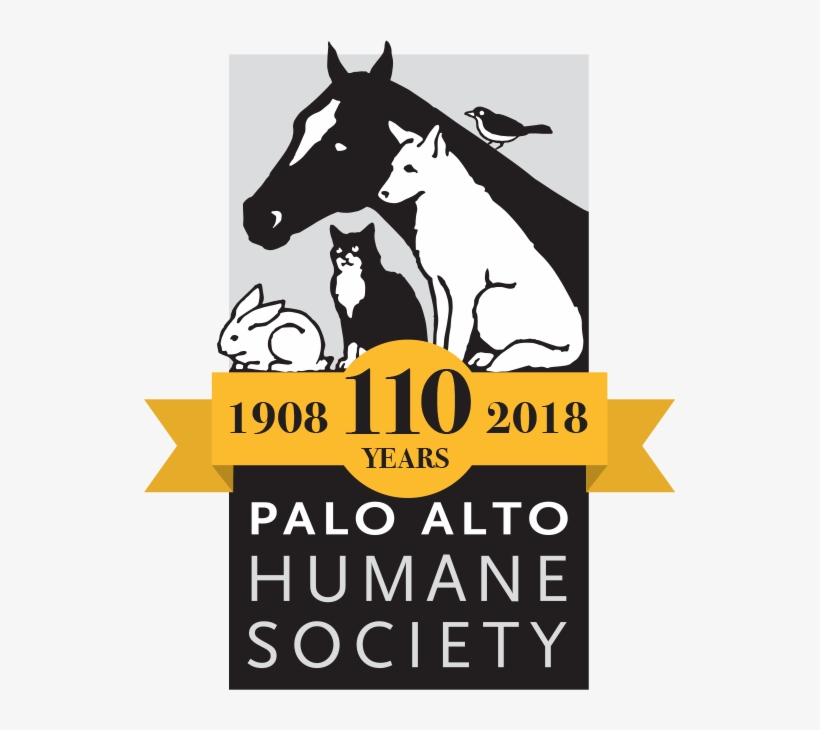All About Dogs - Palo Alto Humane Society Ornament (round), transparent png #4831489