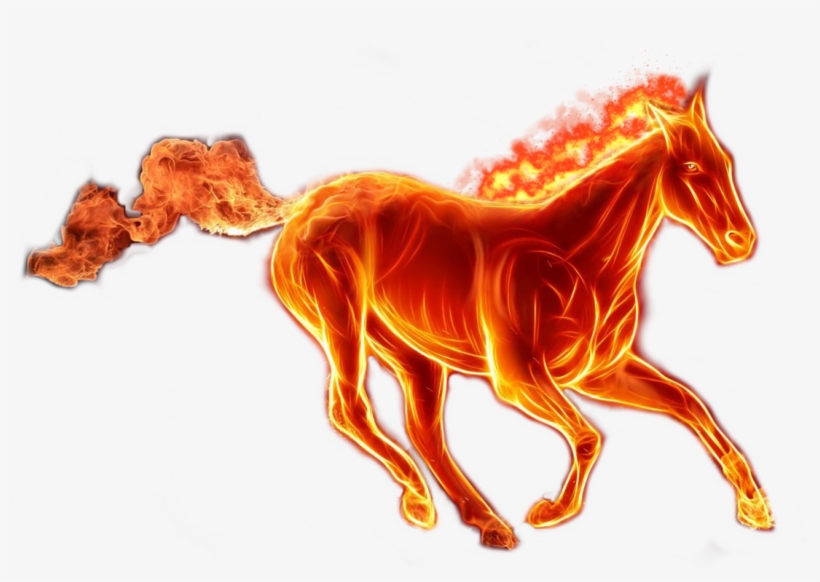 Horse On Fire Png, transparent png #4832440