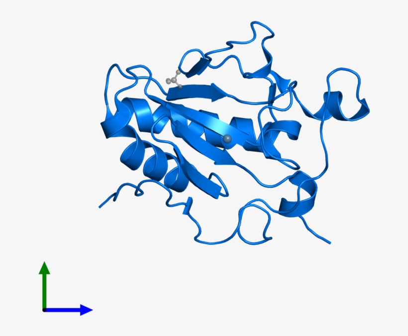 <div Class='caption-body'>pdb Entry 1vhh Contains 1 - Indian Hedgehog, transparent png #4833833