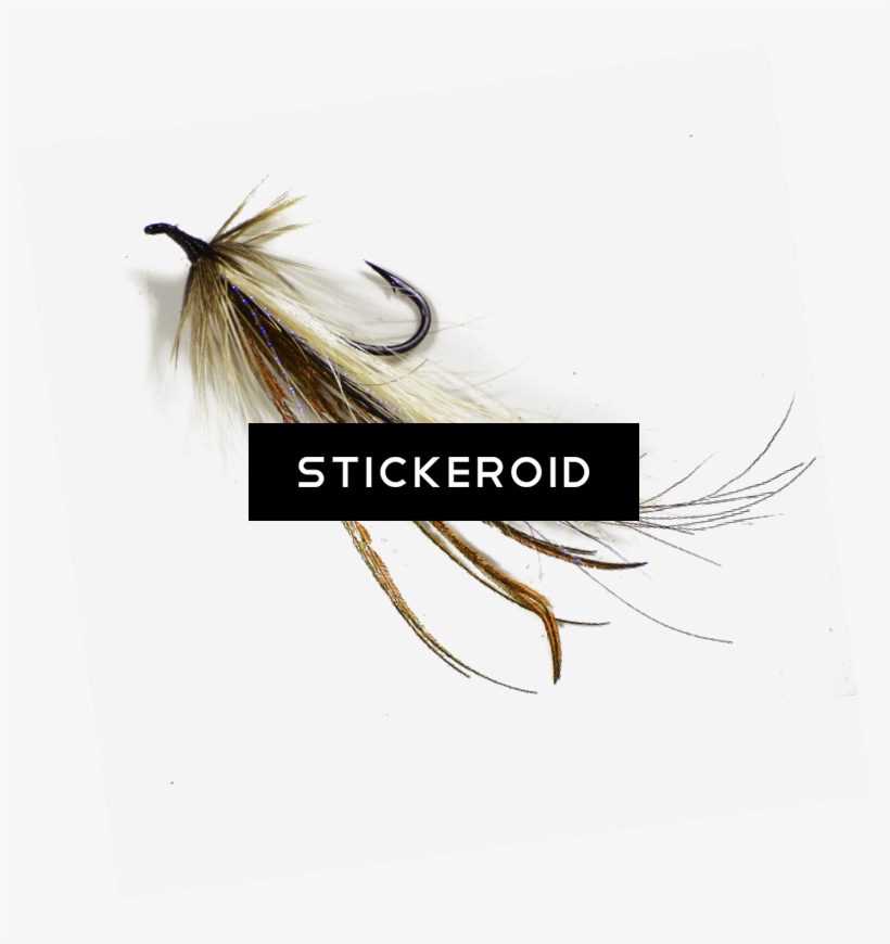 Fish Fly - Calligraphy, transparent png #4835013