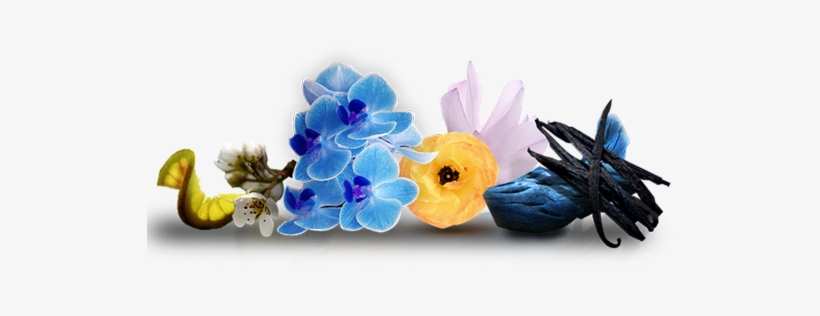 Artificial Flower, transparent png #4836242
