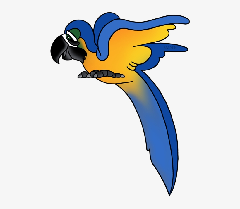 Macaw Clipart Phillip Martin - Clipart Animals Rainforest, transparent png #4836319