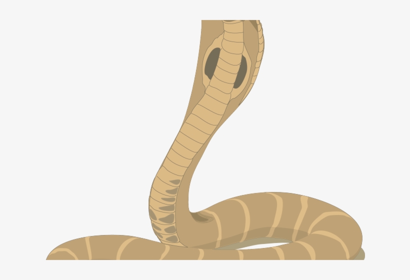Throne Clipart Indian Kings - Cape Cobra Clip Art, transparent png #4836565