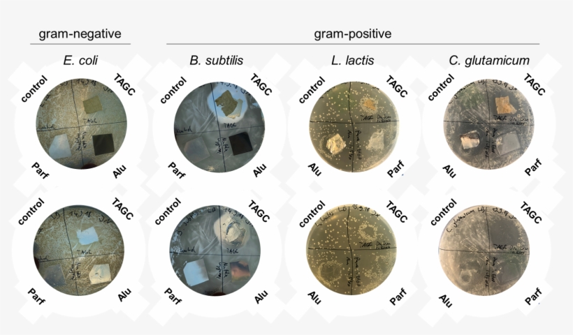 From Left To Right - Quarter, transparent png #4837406