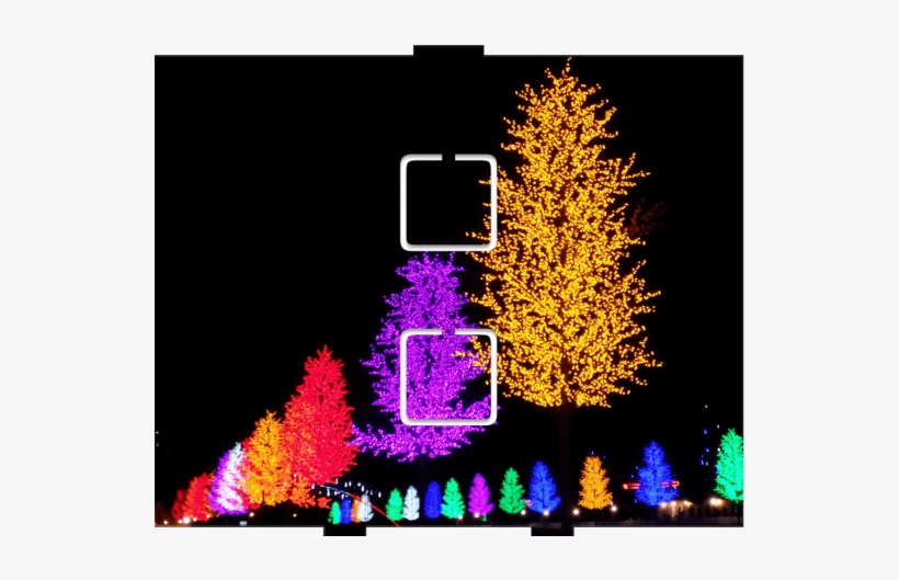 Light Trees - 2 On/off - Christmas Lights, transparent png #4838113