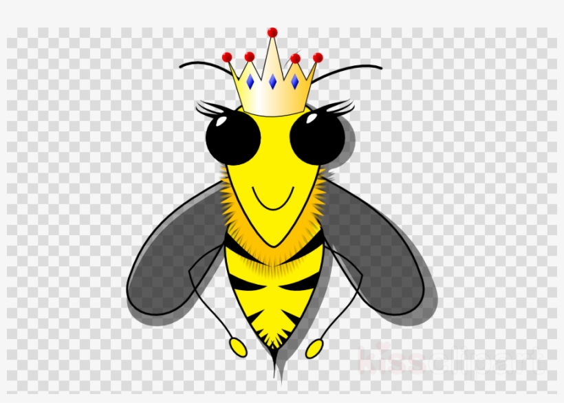 Download Queen Bee Png Clipart Queen Bee Clip Art Bee - Bee Cartoon Shower Curtain - Free Transparent PNG Download - PNGkey Download Queen Bee Png Clipart Queen Bee Clip Art Bee - Bee Cartoon Shower Curtain - Free Transparent PNG Download - PNGkey