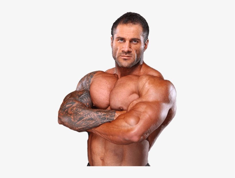 Bodybuilding Png - Bodybuilding, transparent png #4840950