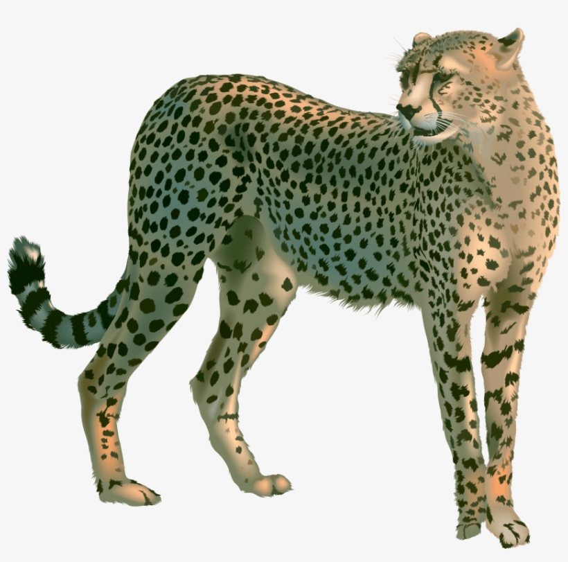 Free Png Cheetah Png Images Transparent - Гепард Пнг, transparent png #4841456