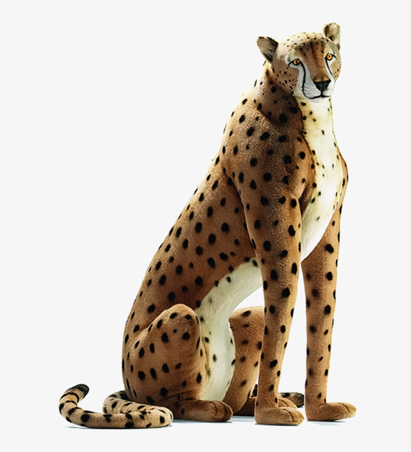 Sitting Cheetah Transparent Image - Hansa Toys Life Sized Stuffed Cheetah, transparent png #4841646
