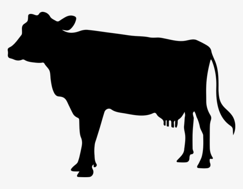 Cow Icon 1653039 640 - Clip Art Cow Silhouette Png, transparent png #4842250