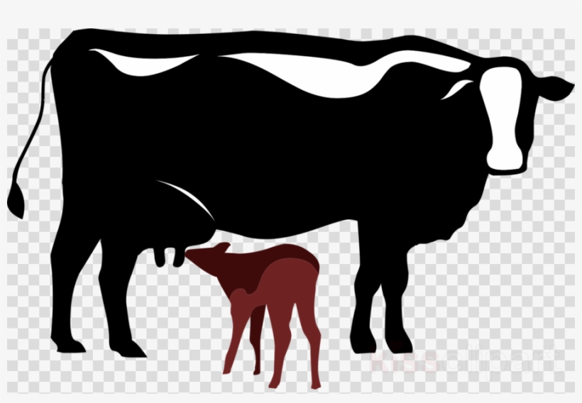 Cattle Clipart Dairy Cattle Calf Baka - Cow Is Under The Tree Clip Art, transparent png #4842662