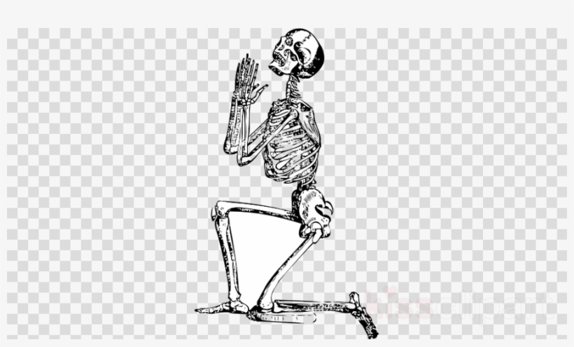 Download Skeleton Praying Png Clipart Human Skeleton - Skull Praying, transparent png #4843565