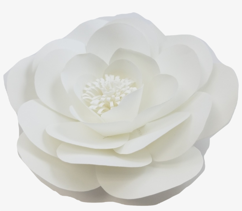 [paper Flower] [paper Flower Sets] [decor In The Box][ - White Paper Floral Png, transparent png #4849369