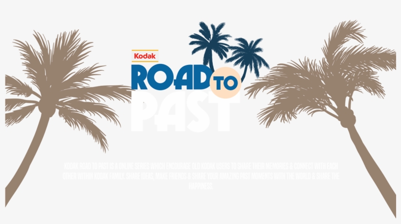 Kodak Road To Past - Blue Palm Trees Throw Blanket, transparent png #4855064