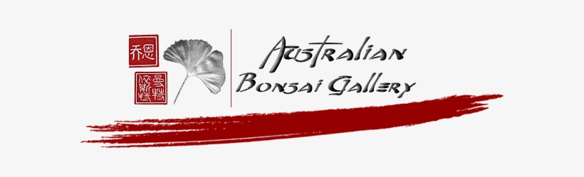 Sakura Bonsai Gallery - Cherry Blossom, transparent png #4856394