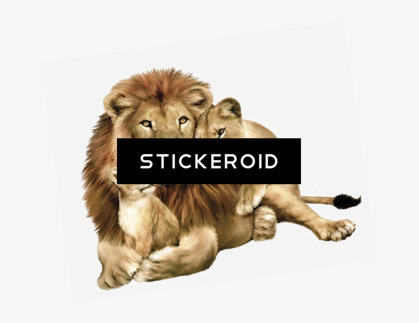 Gujarat Lions Logo - Lion Family, transparent png #4856969