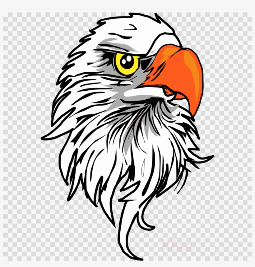 Download Eagle Head Png Clipart Bald Eagle Clip Art - Animasi Elang, transparent png #4857205