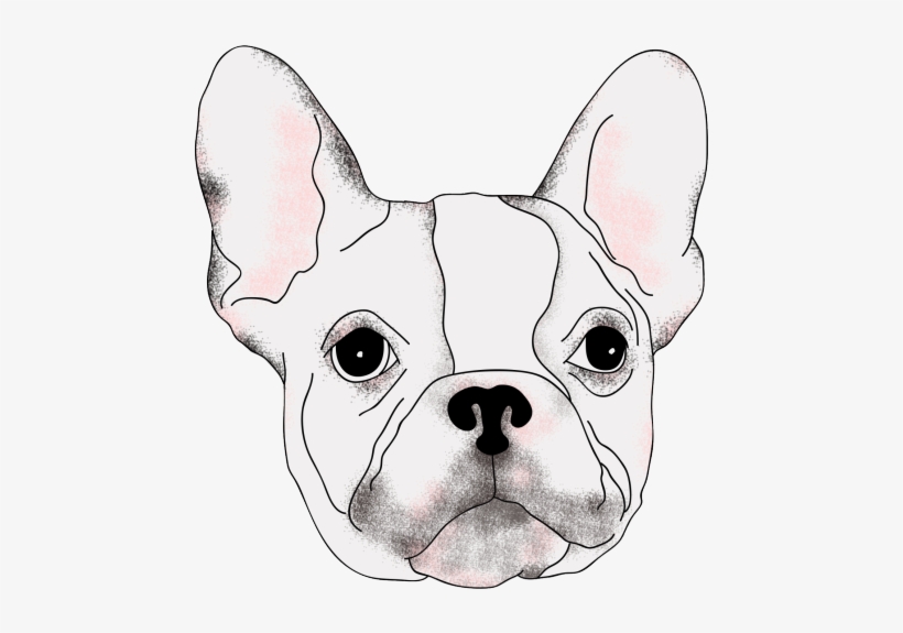 Drawing Bulldogs Realistic - French Bulldog, transparent png #4858137