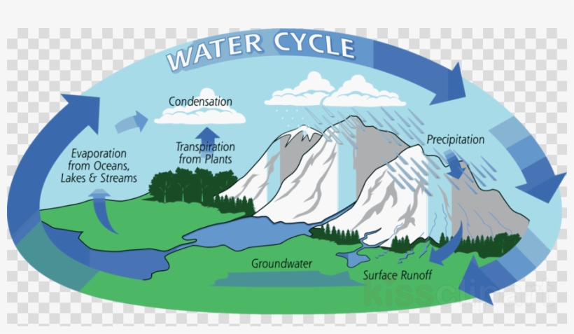 Parts Of The Water Cycle Clipart Water Cycle Global - Natural Water Cycle, transparent png #4859233