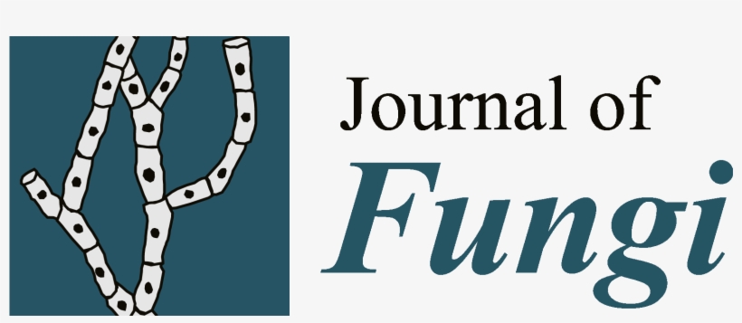 Border Collie Agility Ornament (round), transparent png #4859983