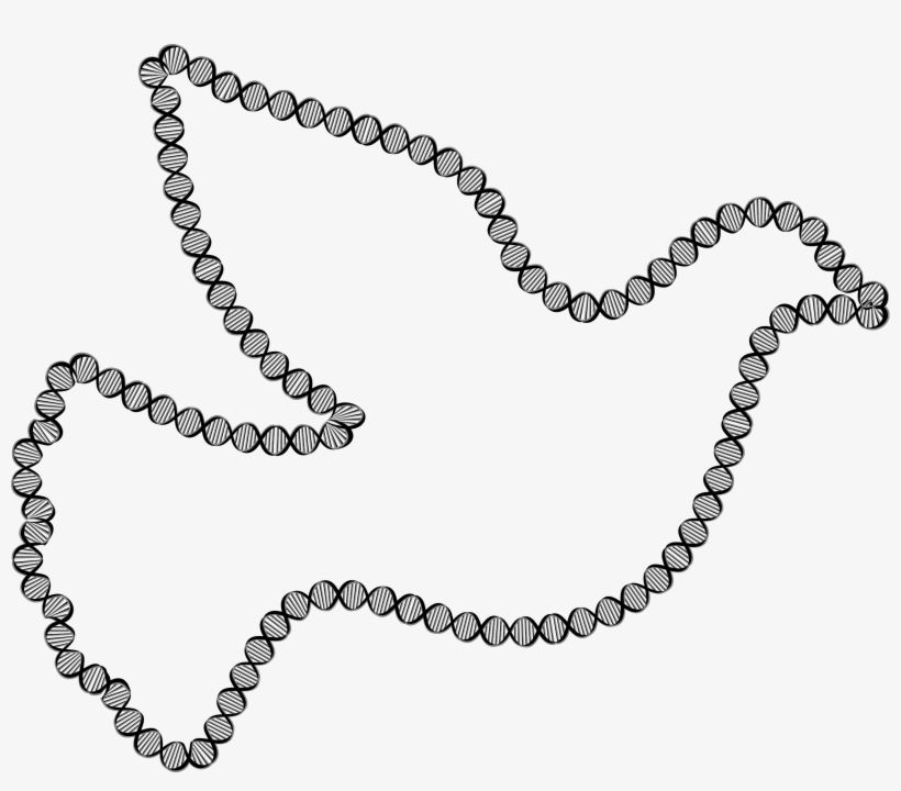 This Free Icons Png Design Of Dna Peace Dove, transparent png #4860120