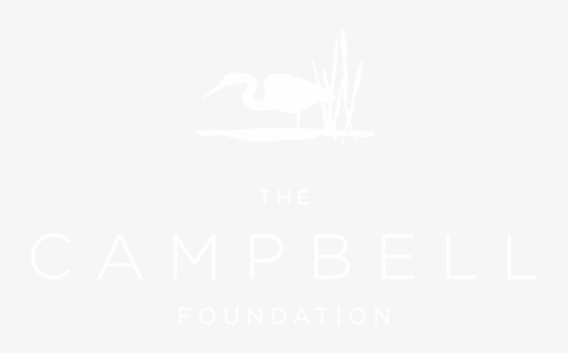 The Campbell Foundation - Hyatt White Logo Png, transparent png #4860273