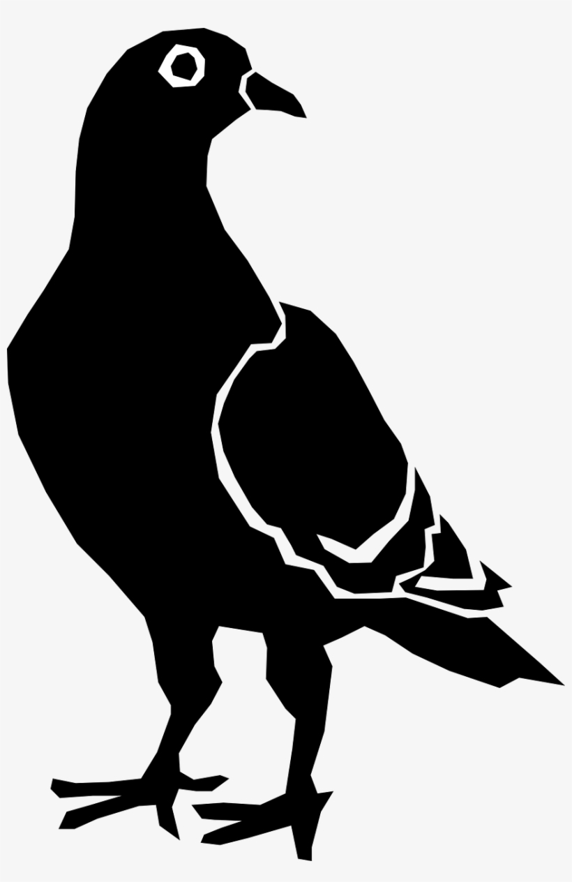 White Dove Clipart Burung - Pigeon Silhouette, transparent png #4860720