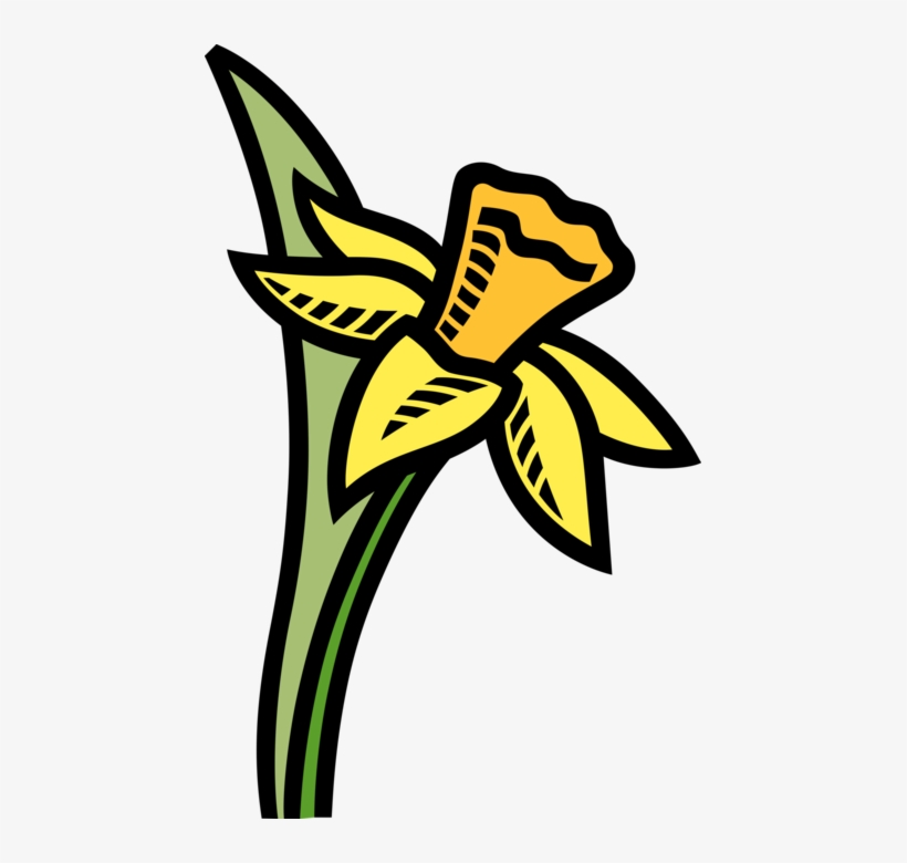 Vector Illustration Of Easter Pascha Daffodil Yellow - Short And Tall Trees, transparent png #4862772