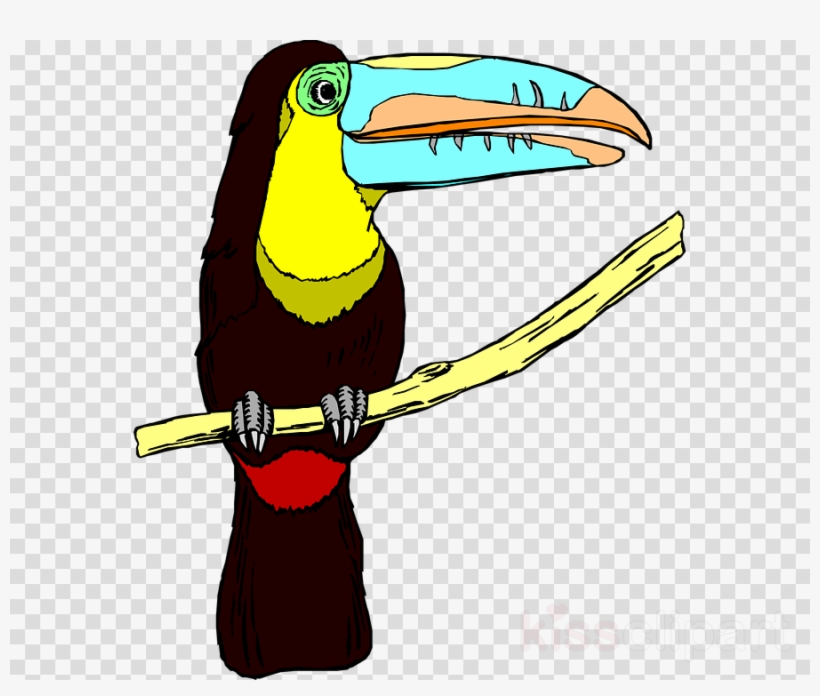 Bird Clipart Bird Toucan Clip Art - Toucan, transparent png #4862902