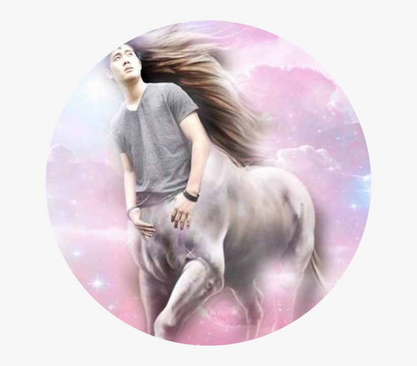 Ryan Higa - Ryan Higa Unicorn, transparent png #4863489