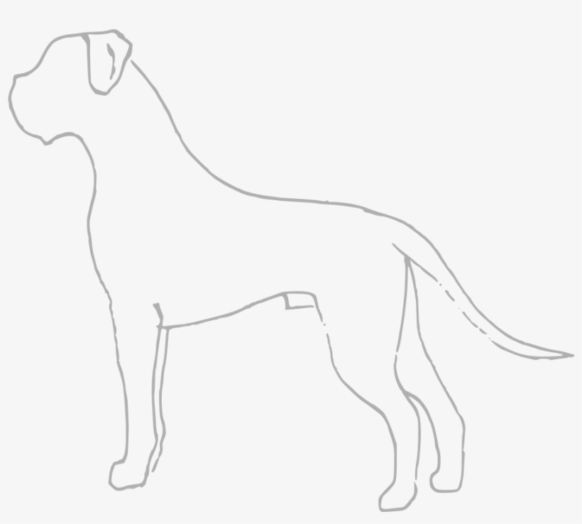 File - Boxer Scheme - Svg - Dogo Argentino, transparent png #4867829